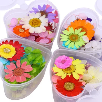 

Mixed Dried Flowers Nail Art DIY Preserved Flower with Round Heart Shape Box