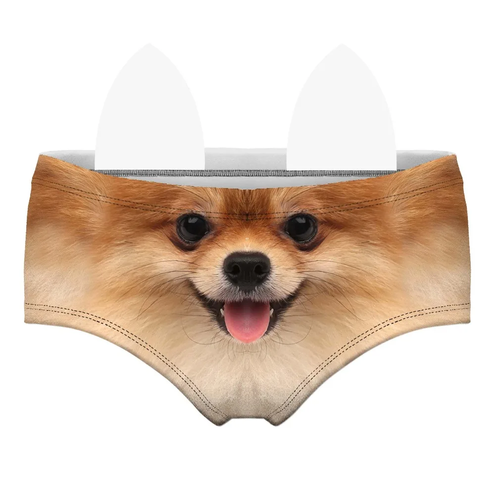 55114 pomeranian wiz front 