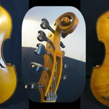 Барокко Стиль SONG master 5*5 струн 1" viola d'Amore, резьба сзади#13945