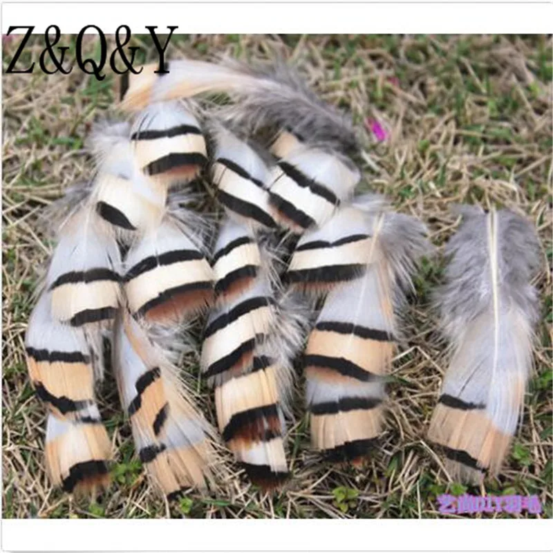 Z & Q Y Природный 25 виды перья фазана 20 PcsDIY перо Jewelry аксессуары для макияжа