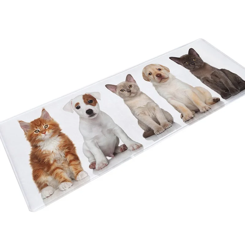 dog-cat-doormat-long-kitchen-rugs-door-mats-animal-printed-welcome