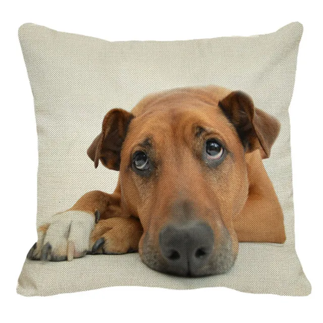 XUNYU Rhodesian Ridgeback наволочки с изображением собак для домашнего дивана квадратная наволочка для подушки с животным узором декоративная наволочка для подушки 45X45 см AC018 - Цвет: 9