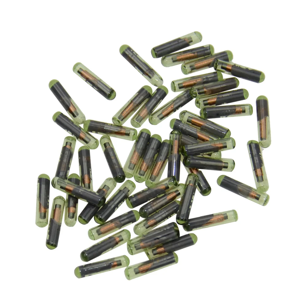 HTB1RoJ2SpXXXXc4XpXXq6xXFXXXF