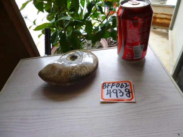P1630111