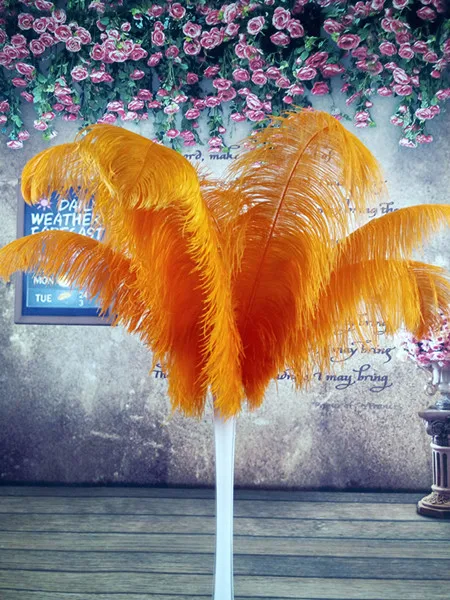 Красивые 100 шт. качество большой полюс натуральный белый страусиное перо 50-55 см/20-22 дюймов Свадебные карнавал для выступления одежда - Цвет: orange