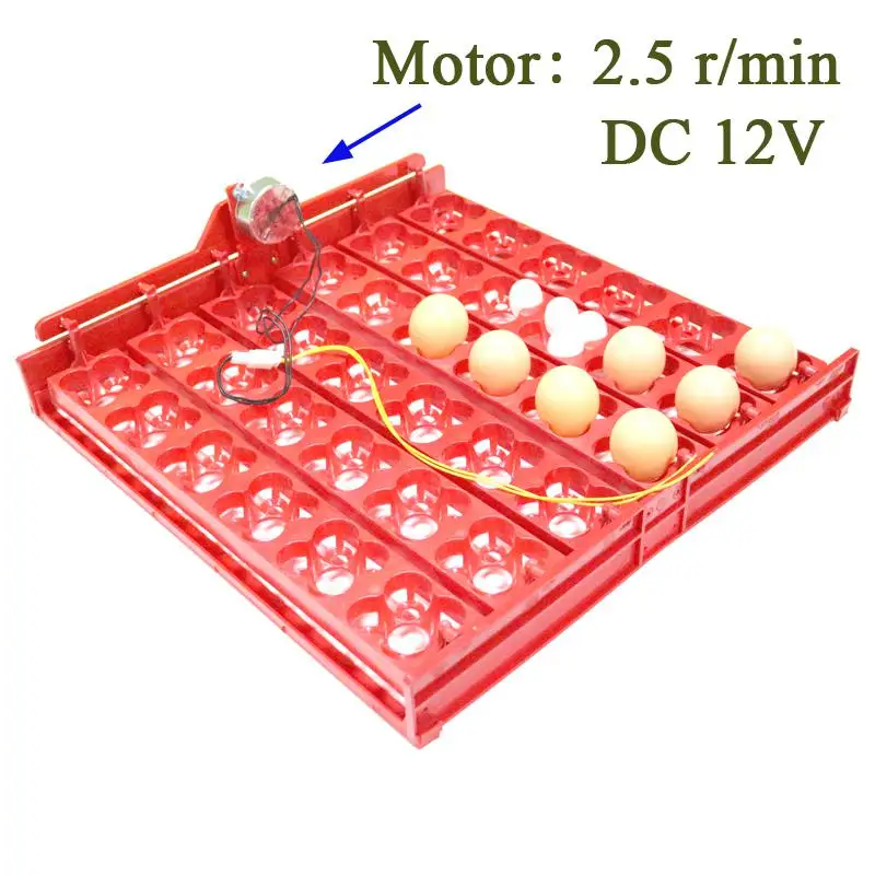 DC12V