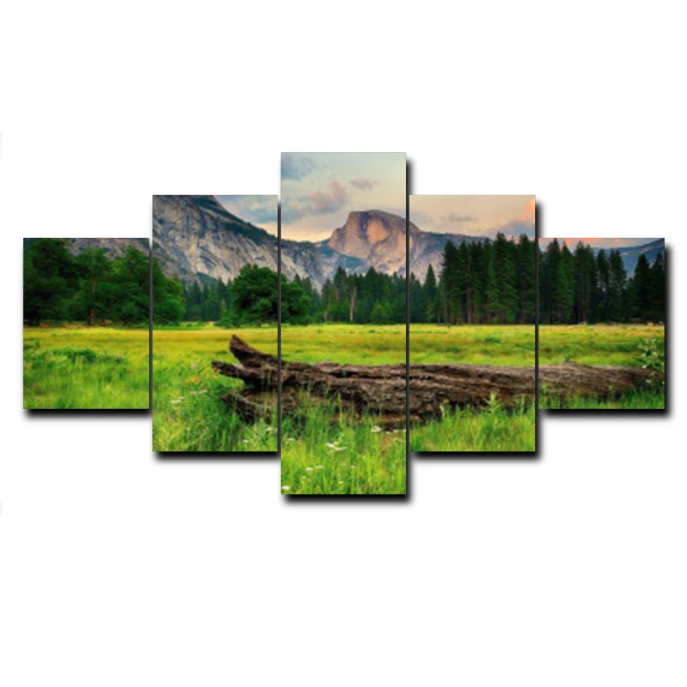 

5 Panel Vintage Spring Grass Outside Posters and Prints Wall Art Picture HD Canvas Painting Home Decoration Living Room No Frame