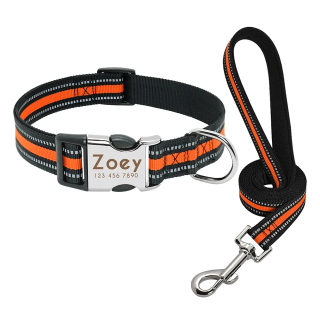 collar leash