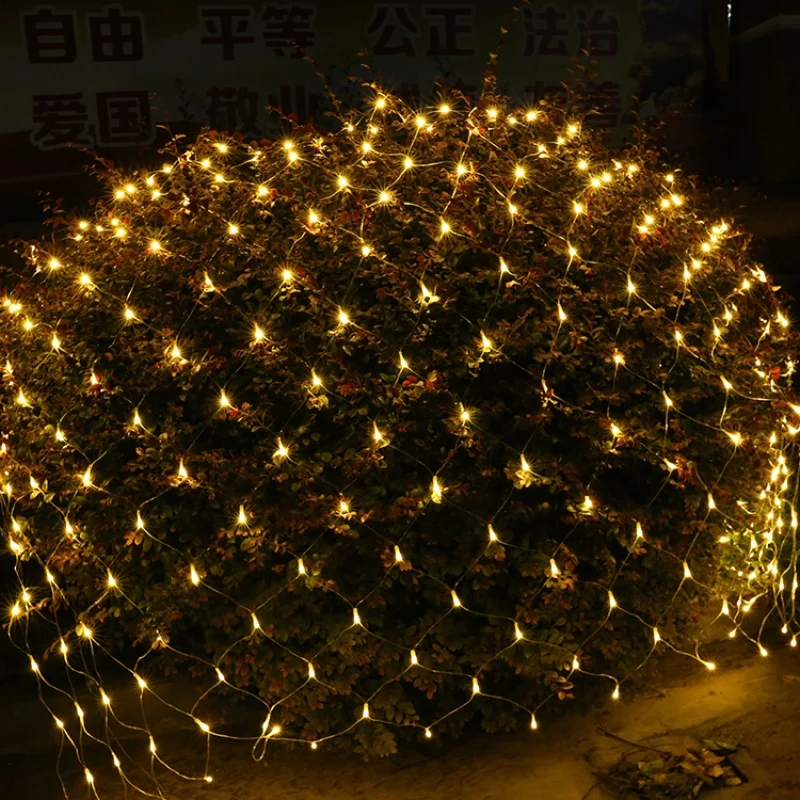 christmas lights
