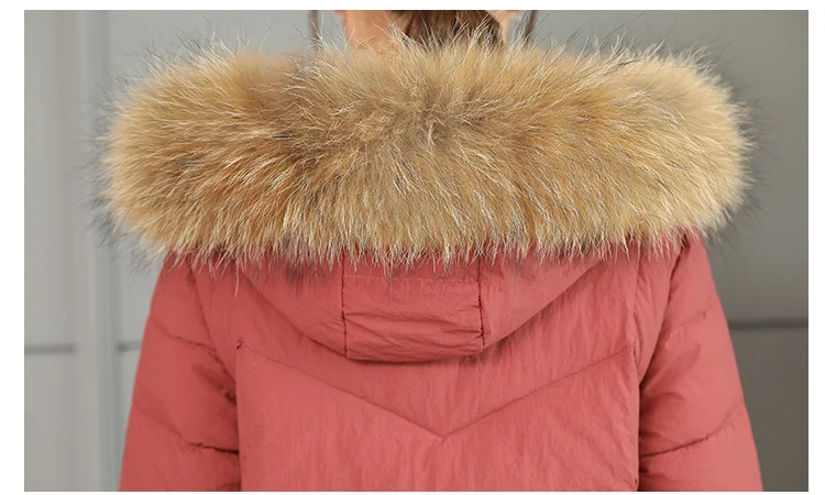 Jackets Women's Winter Long Jacket 2018 Cotton Padded Coat Women Fake Fur Collar Zipper Outwear Coats Female Slim Thick CH587 (5)