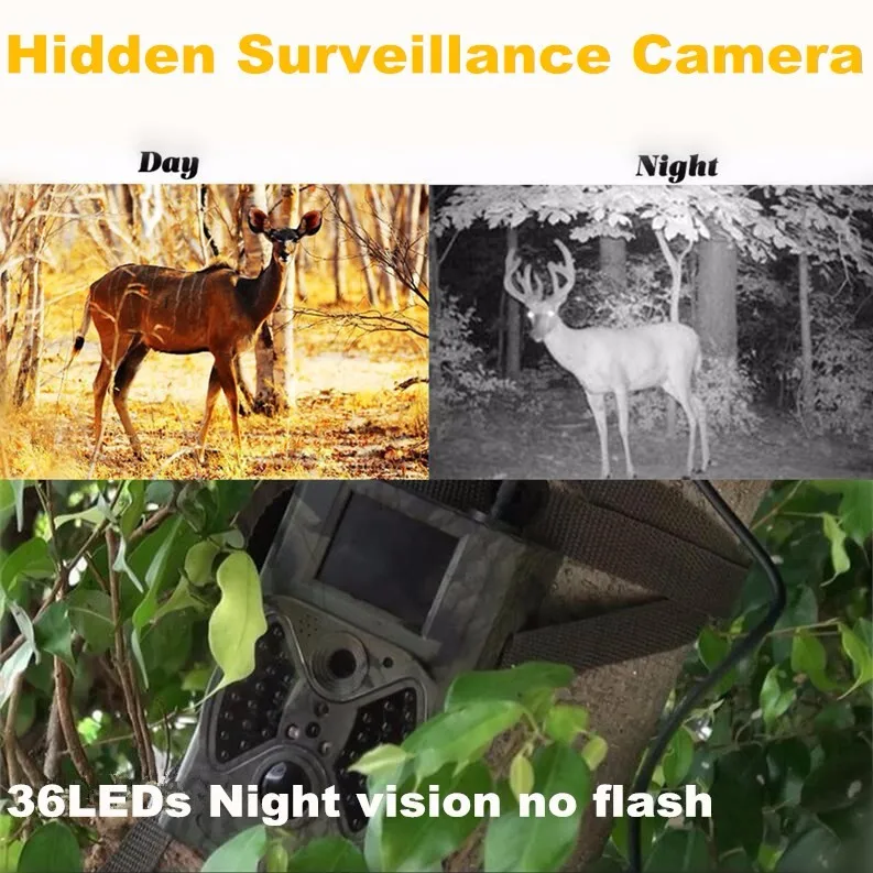 trail camera dx (6)
