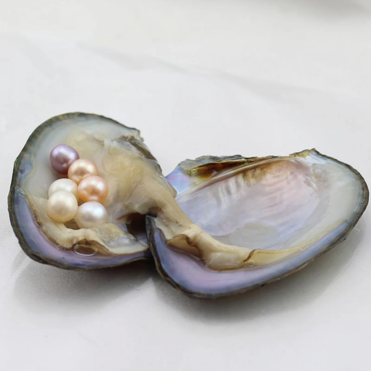 

5 pcs Natural Freshwater Round/Nearround Vacuum-pack Oyster Wish love pearls 1-10beads U Pick