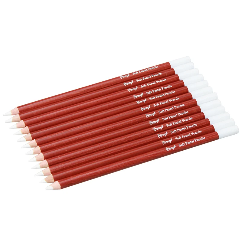 Bianyo 12Pcs/Set Soft Pastel Pencil Professional White Pencil Lead