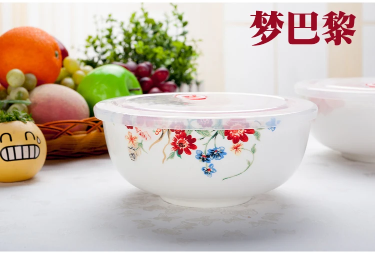7 inch, fine bone china ramen bowl, thermos food containers, ceramic