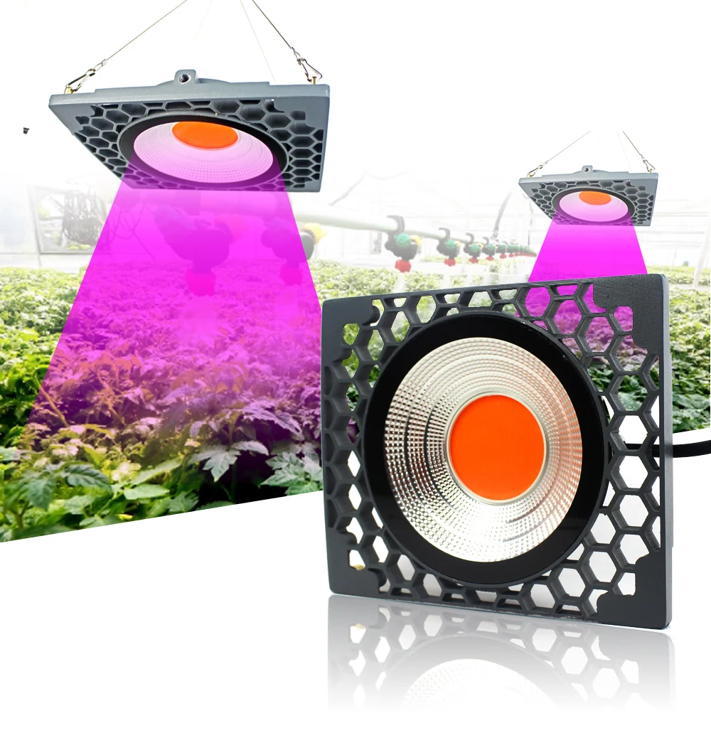COB светодиодный светильник для выращивания 50 Вт 100 Вт 200 Вт Fitolamp DIY IP65 полный водонепроницаемый посадочный спектр Фито растительный светильник для комнатных растений лампа для выращивания растений