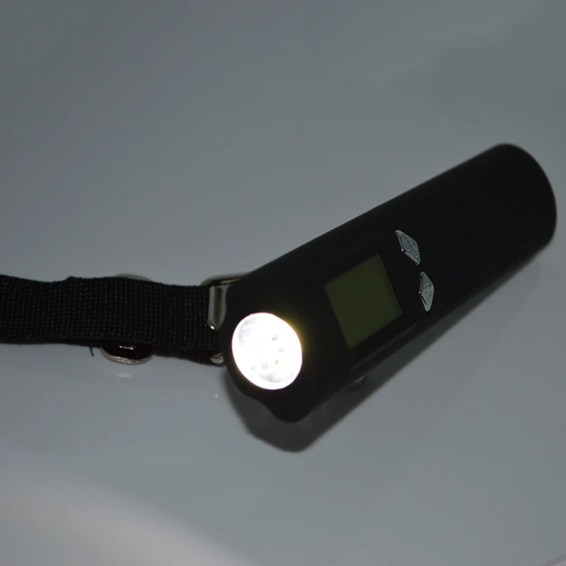 6187278938_1635788840