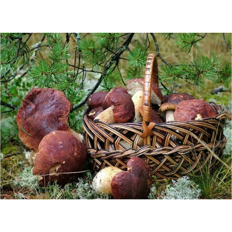 

5D DIY round Diamond Painting Embroidery A Basket Of Mushroom Cross-stitch Rhinestone Mosaic Painting Home Decor Craft v1492