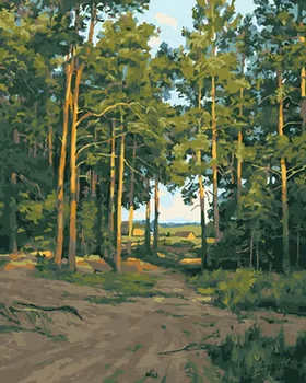 

Frameless diy paintings by numbers paint by number for home decor oil picture painting 5065cm forest