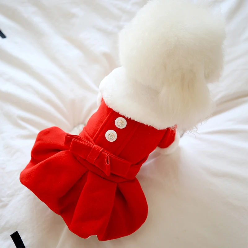 winter clothing dress (9)