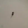 Mobile Phone Parts