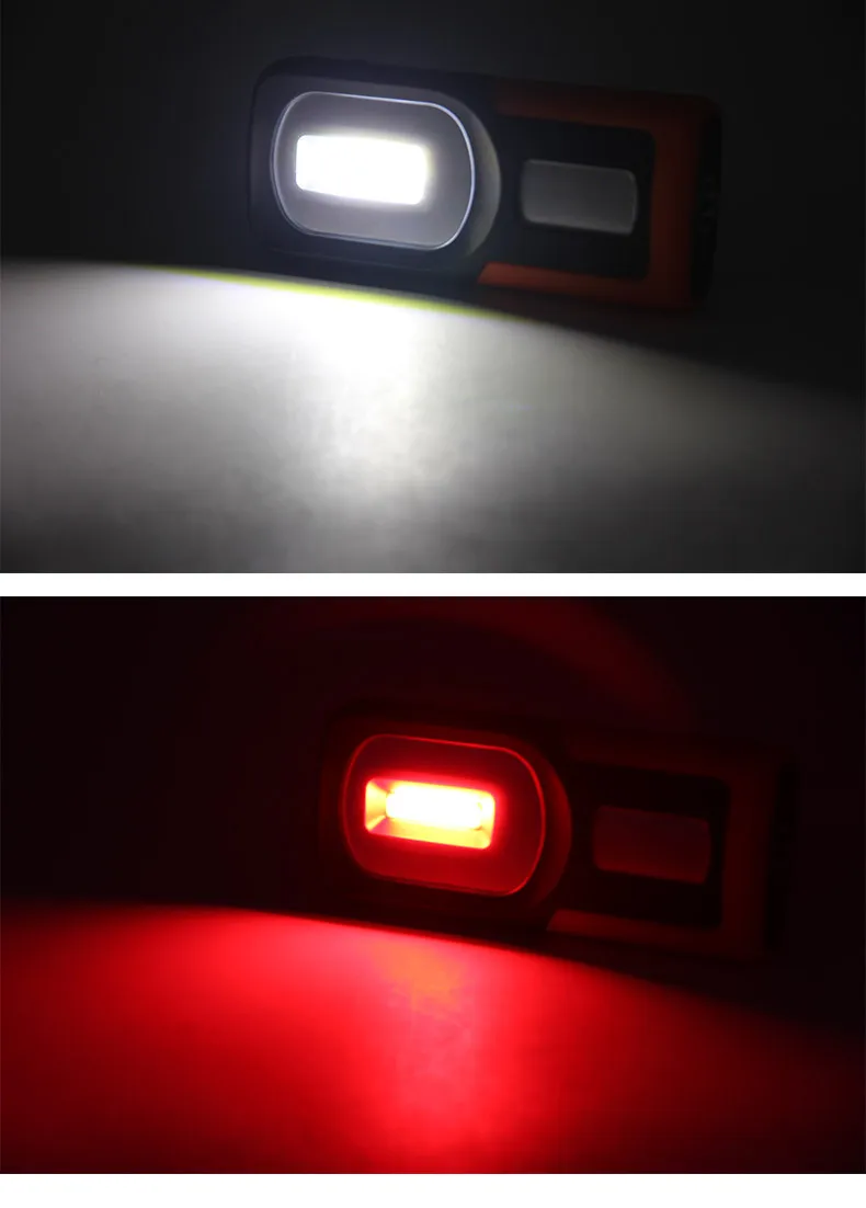 8952005379_1019217499