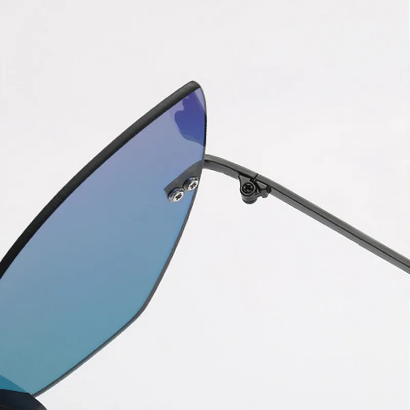 cat eye sunglasses (14)
