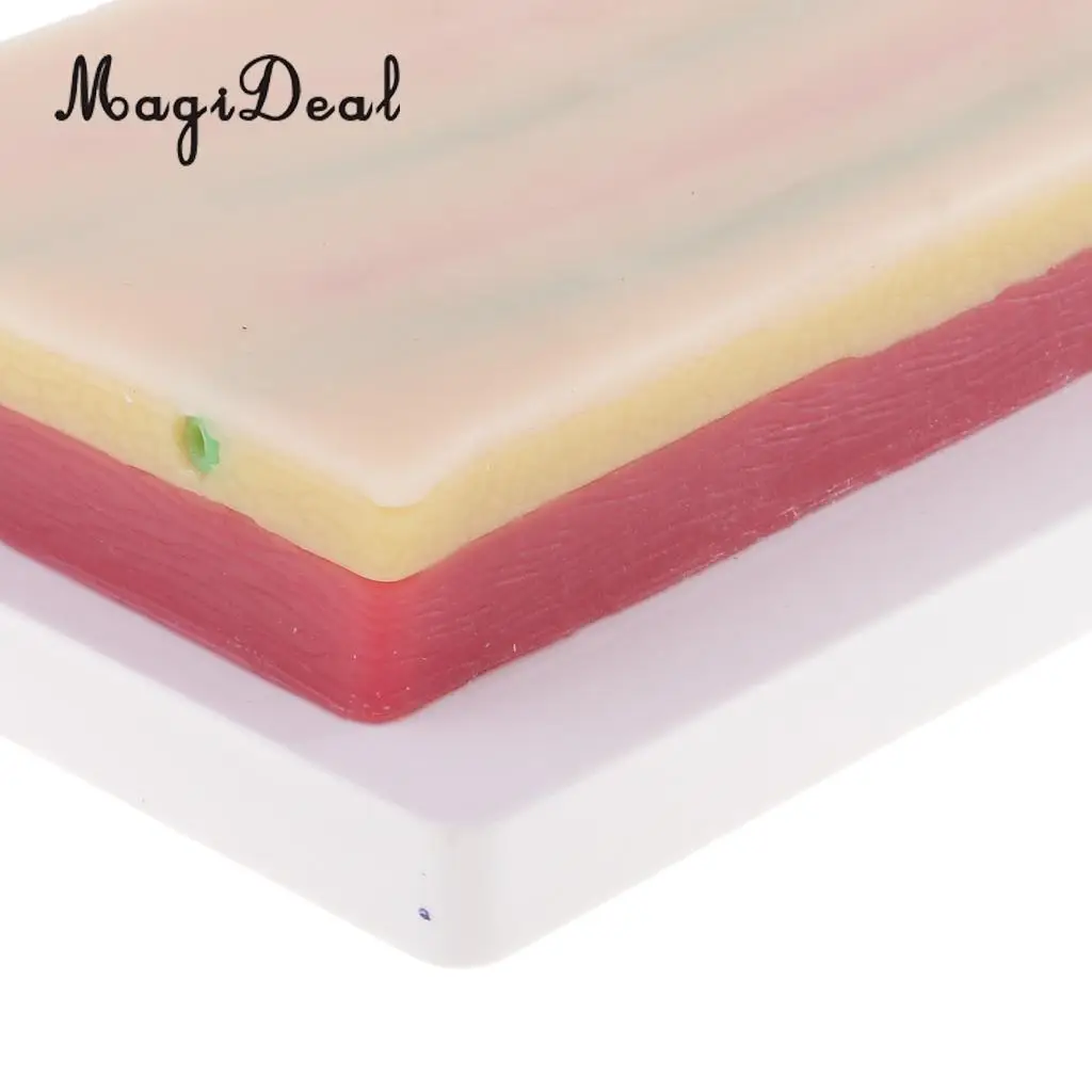 MagiDeal Suturing Practice kit Medical 3 Layers Suture Pad Human Skin Training Model for School Teaching Tool