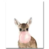 Kangaroo