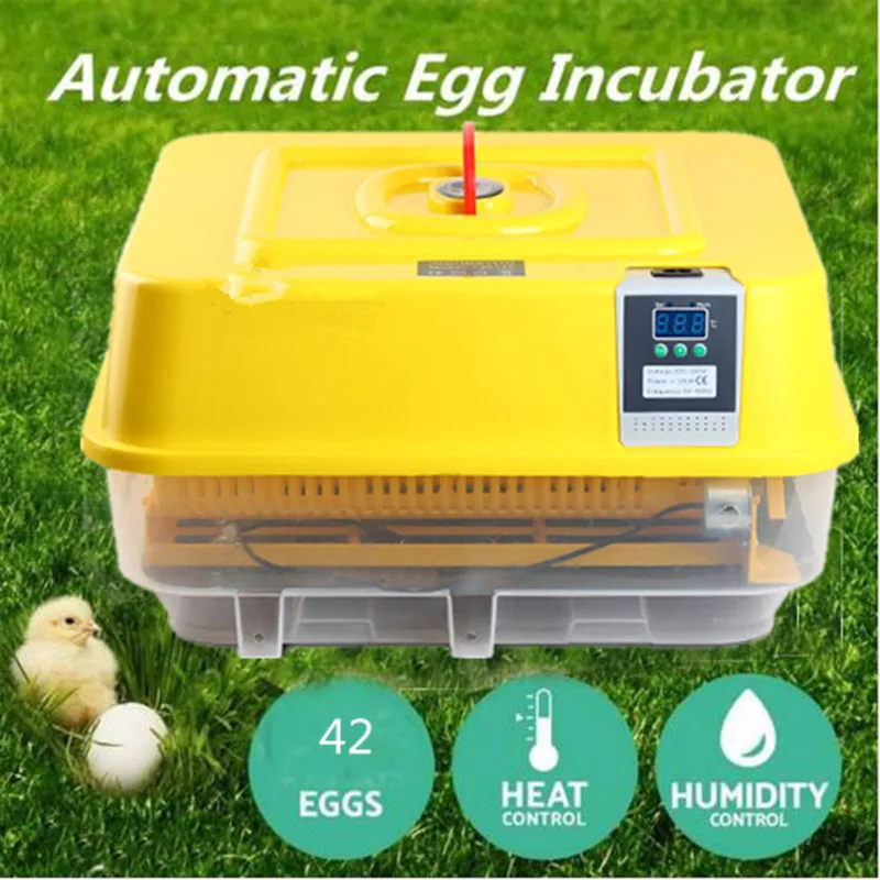 incubator for chicken eggs temperature incubator for chicken eggs temperature