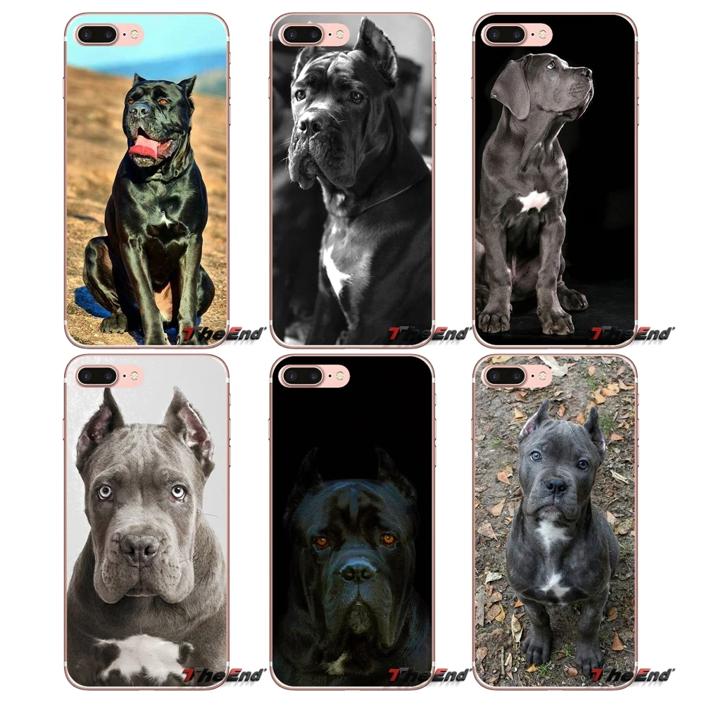 

Soft Transparent Cases For Apple iPhone X 4 4S 5 5S SE 5C 6 6S 7 8 Plus 6sPlus 6Plus 7plus 8plus Italian dogs Cane Corso mastiff