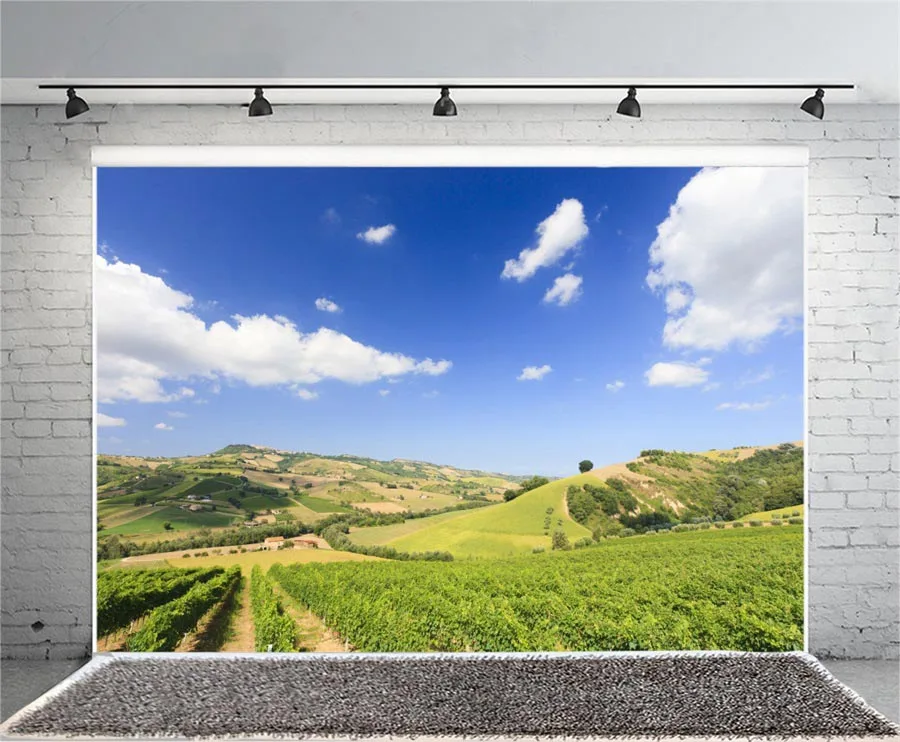 Laeacco Sunny Rural Farm Fields Ландшафтный фон для фотосъемки Виниловый на заказ Фотофон