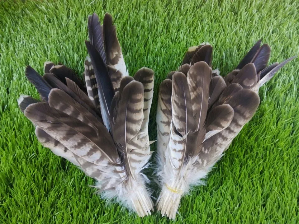 Новинка! 50 шт. искусственные перья 8 13 дюймов/20 32 см|owl feathers|feather featherfeather |