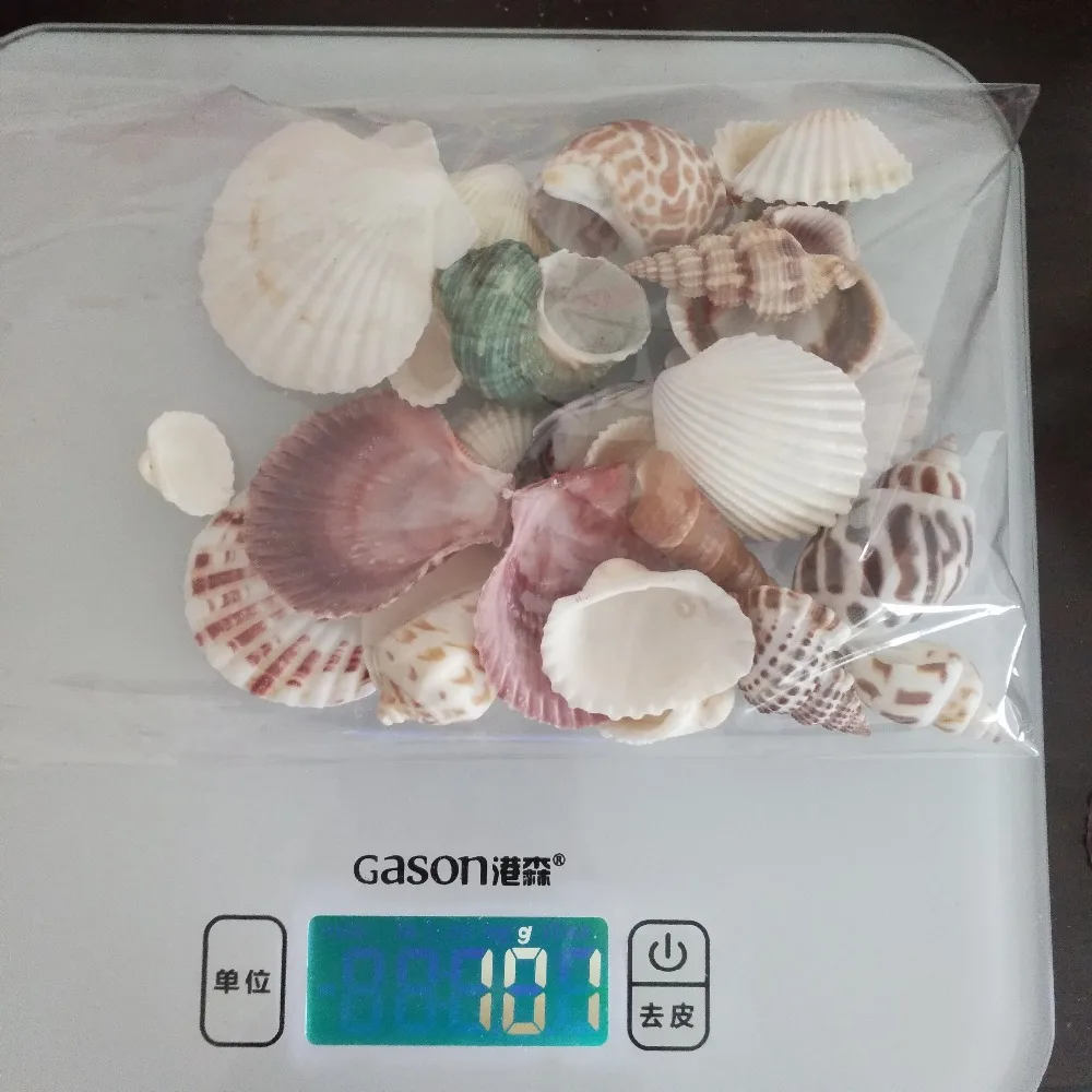 

100g Natural Shell Embellishments Conch DIY Crafts Supplies Mediterranean Shell Conch Starfish Landscape Aquarium Decorative