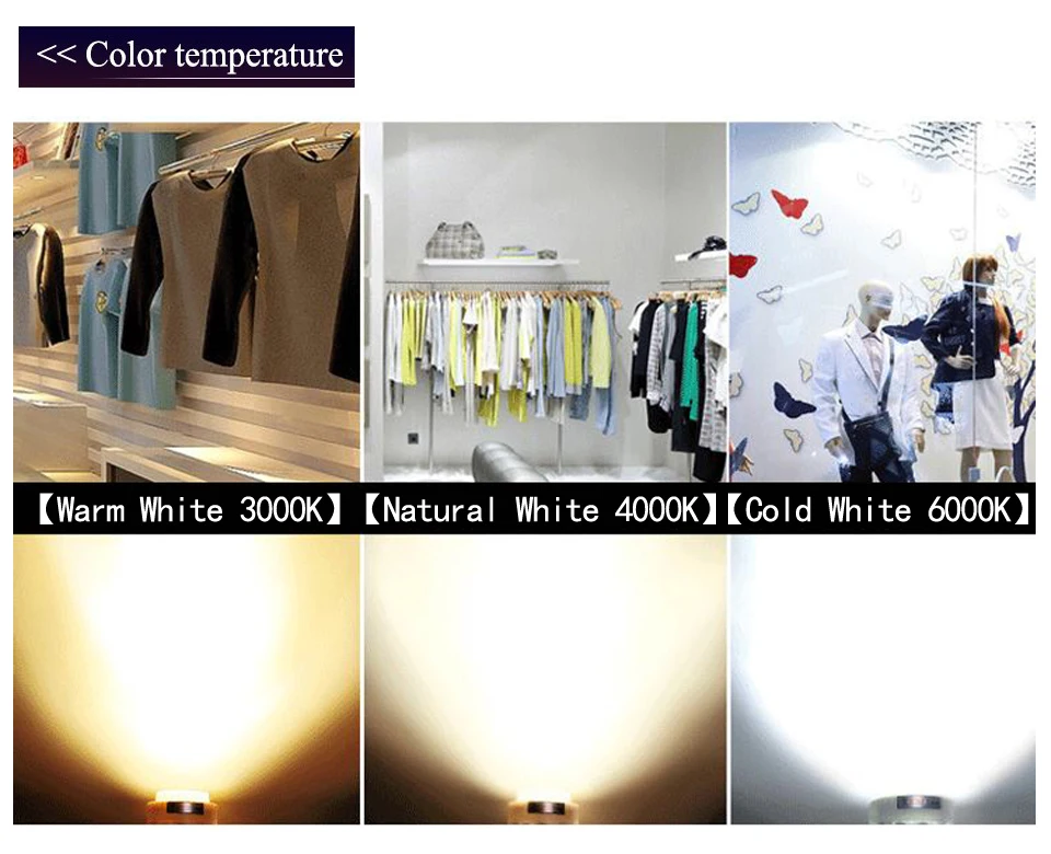 len-101-c-011