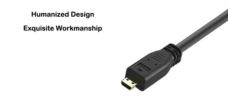 VGA to micro HDMI -3