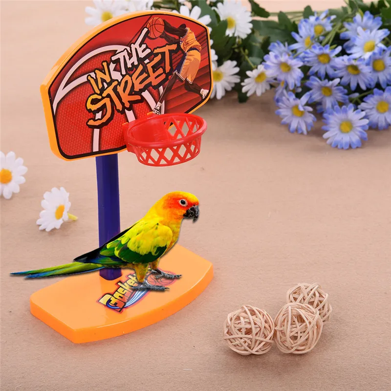 Buy Parrot's Mini Basketball Hoop Parrot Puzzle Toys