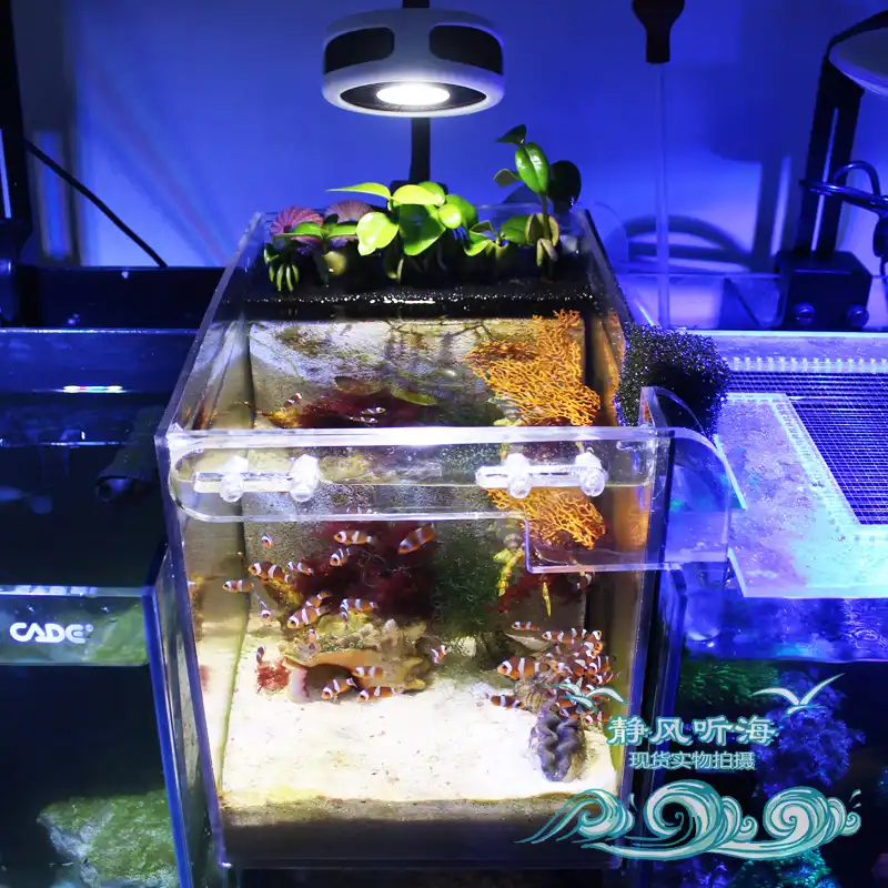 Mini Nano Coral Sps Lps Reef Algae Grow Supplement Led Light