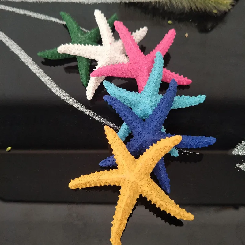 5340086740_1546407678