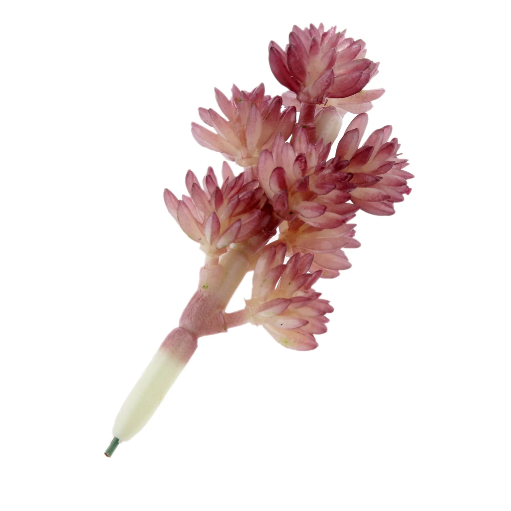 Artificial Succulent Sedum Hispanicu Foliage Plastic Plant Decor Autumn