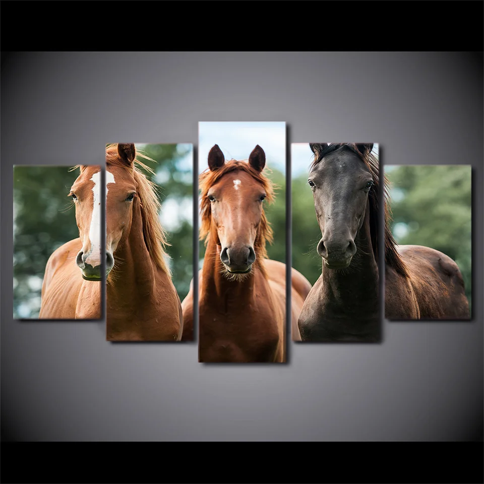 5 Piece Framed Printed Three Brown Horse Race Painting On Canvas Decor
