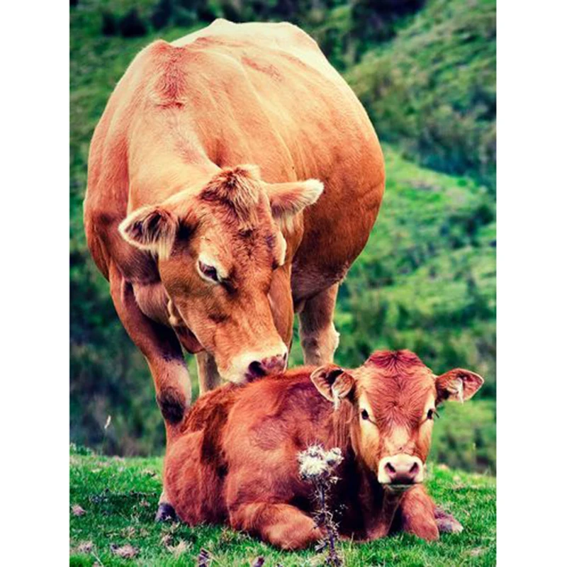 5D Diamond Painting Cow Mother Embroidery Full Display Mosaic Cross Stitch Picture Of Rhinestone Decoration | Дом и сад