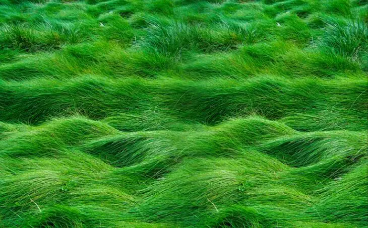 Пользовательские фото 3d полы обои современные травы зеленые растения ПВХ обои самоклеющиеся полы Wallpaper-3d фрески