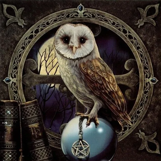 

Wolf Owl Crow Dragon - Counted Cross Stitch Kits - Handmade Needlework for Embroidery 14 ct Cross Stitch Sets DMC Color