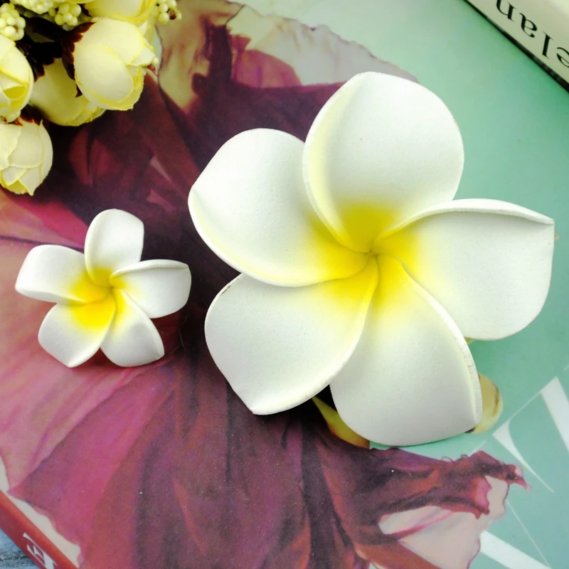

2pcs Sunny Bright Plumeria Flower Photos Background Accessories DIY Decorations for Cosmetic Jewelry Gifts Photography Ornaments