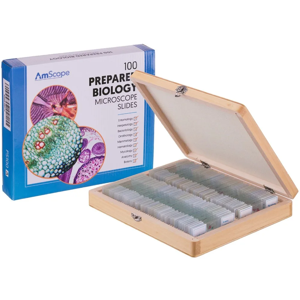 AmScope 100 PC приготовленный биологический стеклянные слайды для микроскопа-набор PS100A