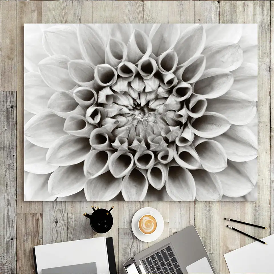 Chrysanthemum Black /& Whit Flower Canvas Wall Art Picture Print