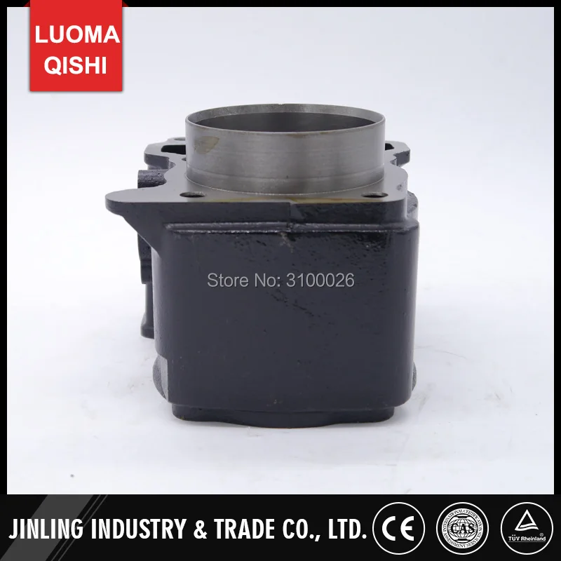 FA-D300-006-8-BUYANG-LINHAI-ATV-PARTS-ENGINE-CYLINDER