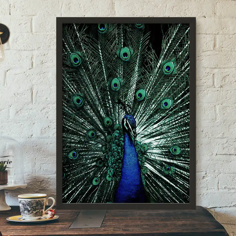 Braille Stretched Canvas Art Peacock Decor Inspirational Quote Art Peacock Feather Peacock Canvas Print Braille Art Inspirational Sign