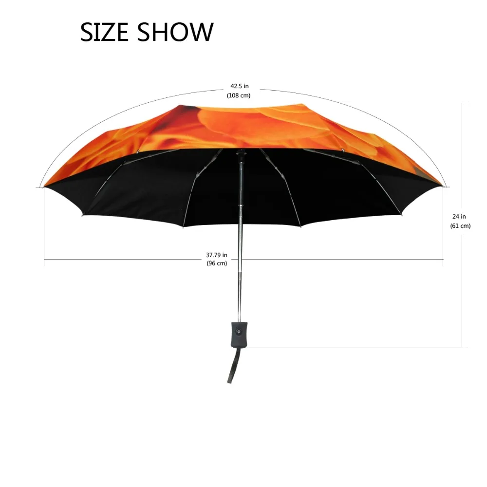 g1249345p127c141s212_2