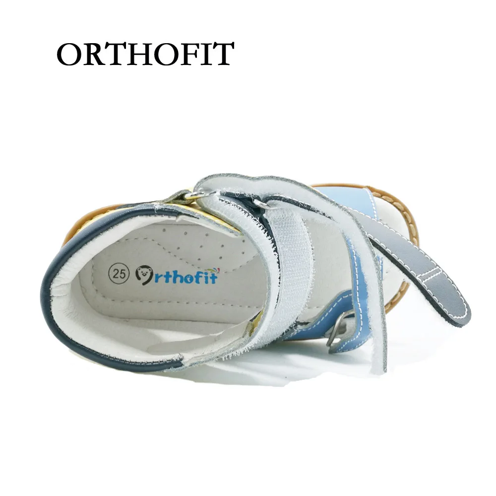 OPT030601-6